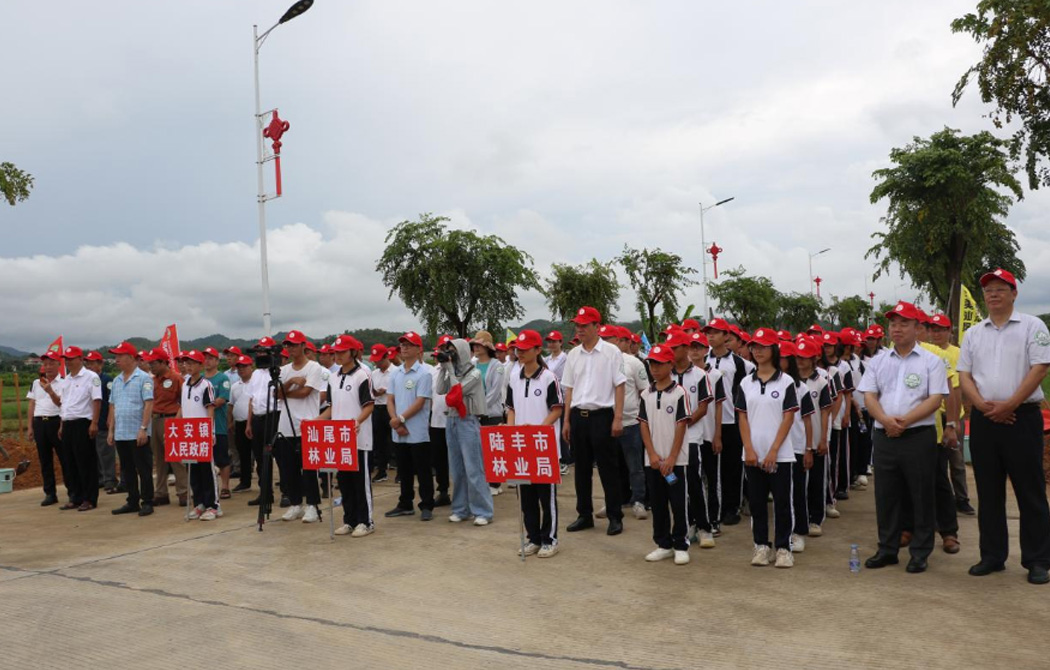 共建家乡林——乡贤助力绿美汕尾生态建设