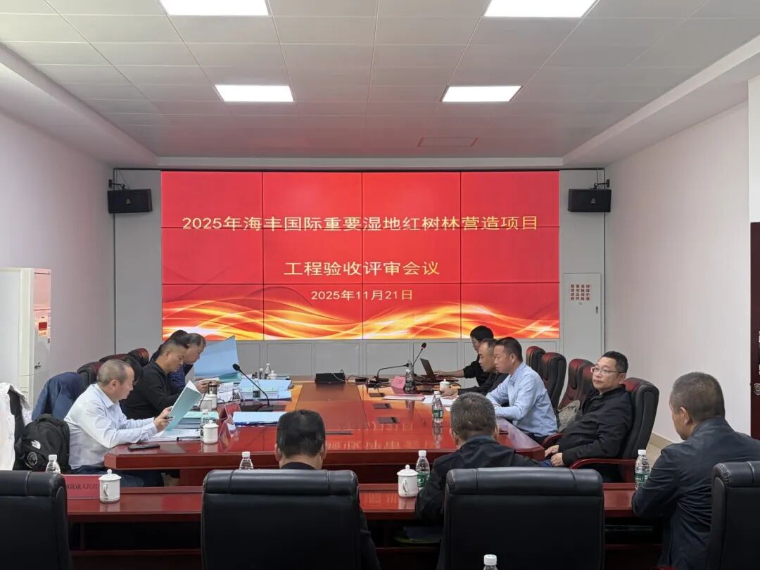 喜讯 | 我司承接的《2025年海丰国际重要湿地红树林营造项目》 顺利通过验收