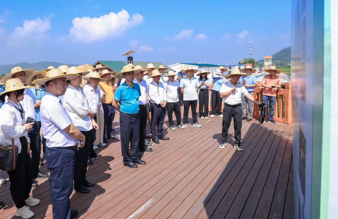 互花米草防治工作交流活动