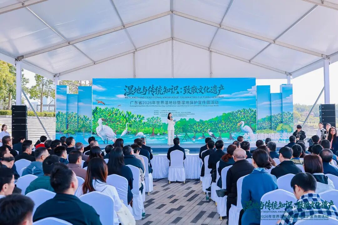 如春生态亮相广东省2026年世界湿地日活动，30道考题点燃全民护湿热情